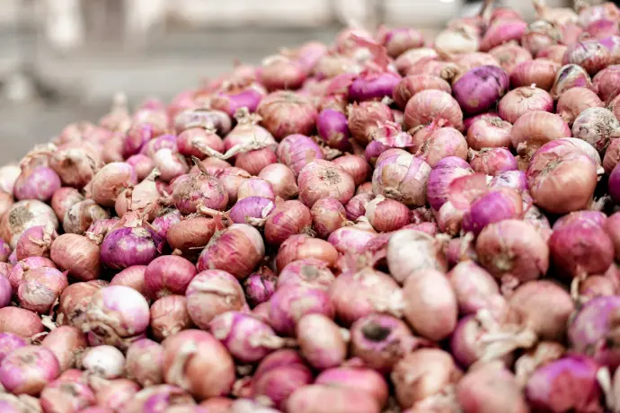 brown onion lot